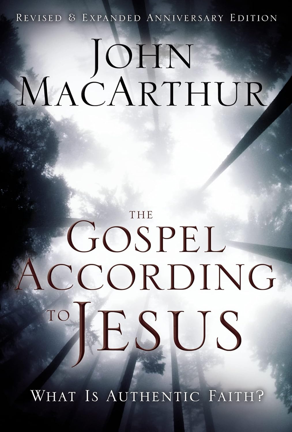 Cover of The Gospel According to Jesus